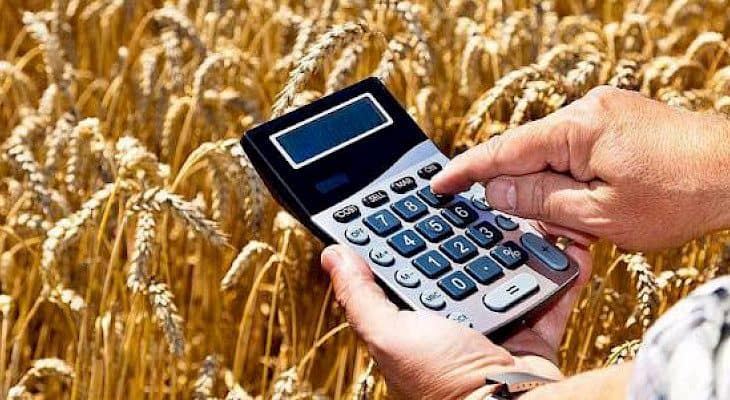 Фермеров на три года освободят от уплаты земельного налога изображение публикации