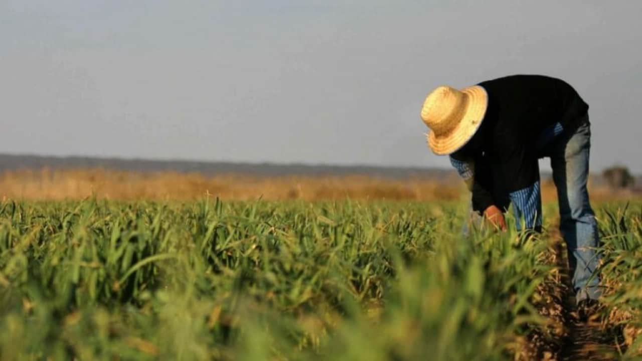 Субсидии в сельском хозяйстве. Какой вред наносится экологии и устойчивому развитию Кыргызстана? изображение публикации