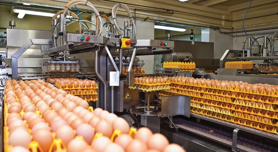 РКФР выдаст $1 млн на проект по производству куриных яиц изображение публикации