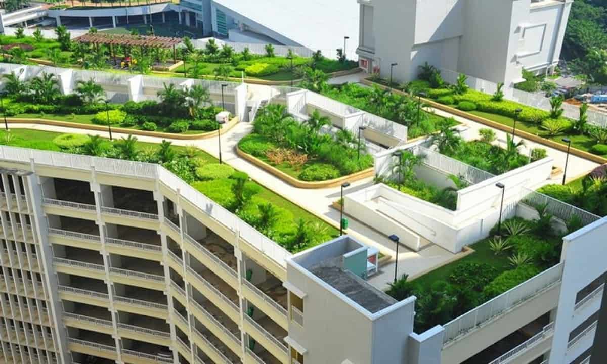 Депутат Марлен Маматалиев предложил озеленить крыши столичных зданий изображение публикации