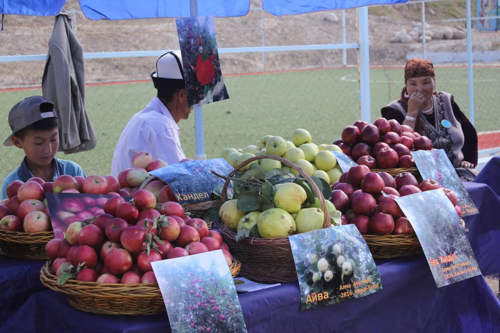 В парламенте призывают создать рабочие места для жителей приграничных районов изображение публикации