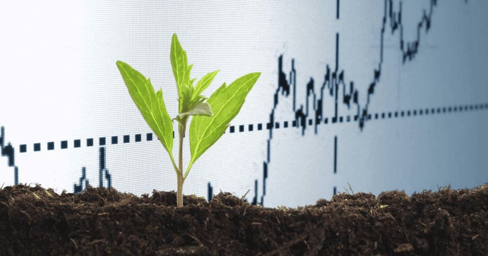 Минсельхозу поручено обеспечить не менее 5% роста в 2022 году изображение публикации