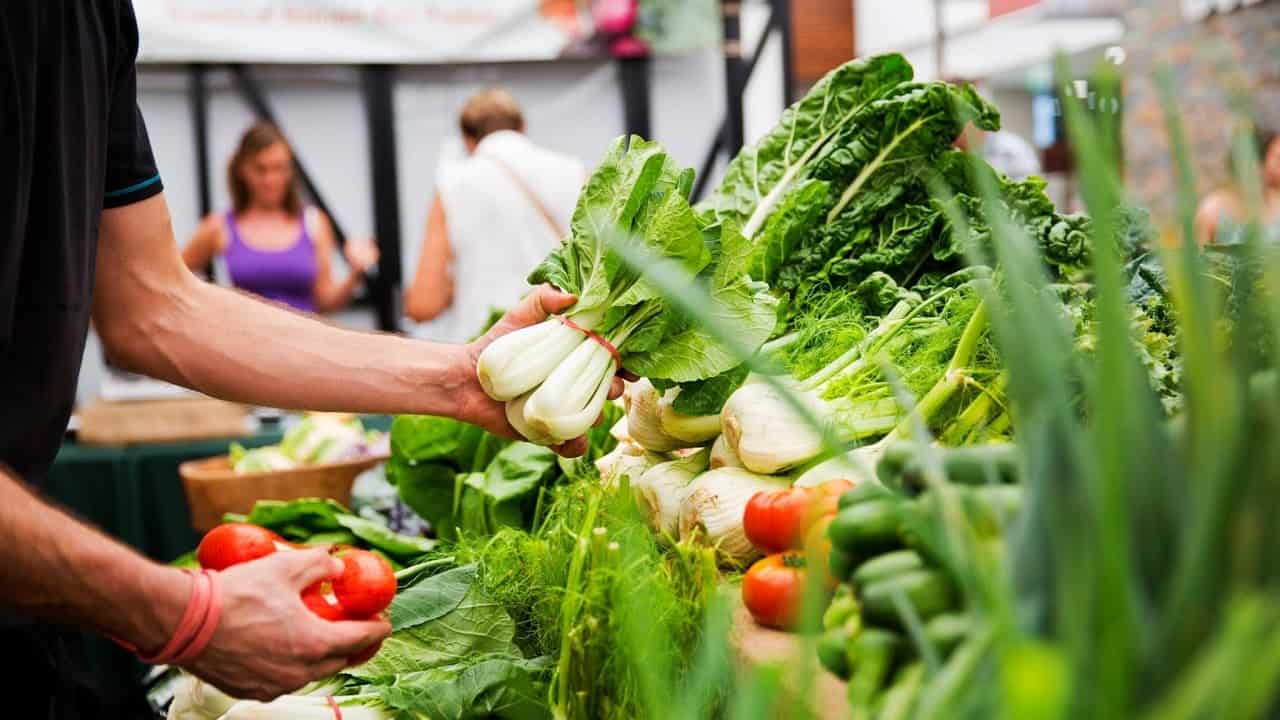 Вместе с точками общепита от высоких налогов пострадают еще и фермеры – ассоциация изображение публикации