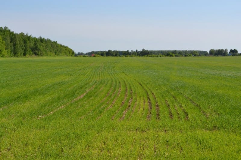 Чиновники незаконно отдали участок стоимостью 320 млн сомов в частную собственность изображение публикации