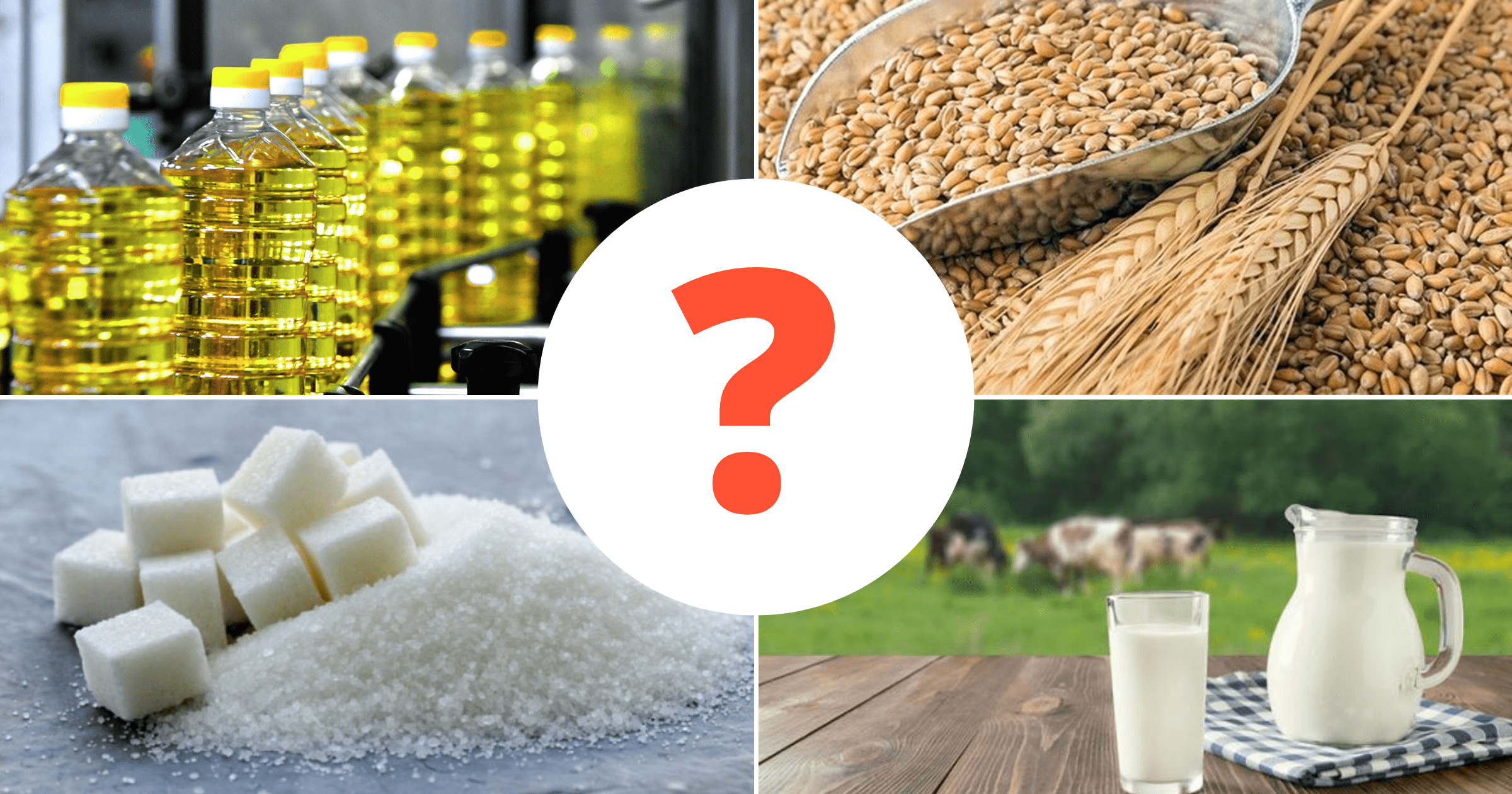 Треть важных продуктов Кыргызстан завозит из России. Пшеница, сахар … Что еще можем потерять? изображение публикации