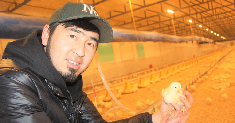 Кыргызстанская птицефабрика «Амаль Куш» расширила свое производство в несколько раз благодаря KyrSEFF изображение публикации