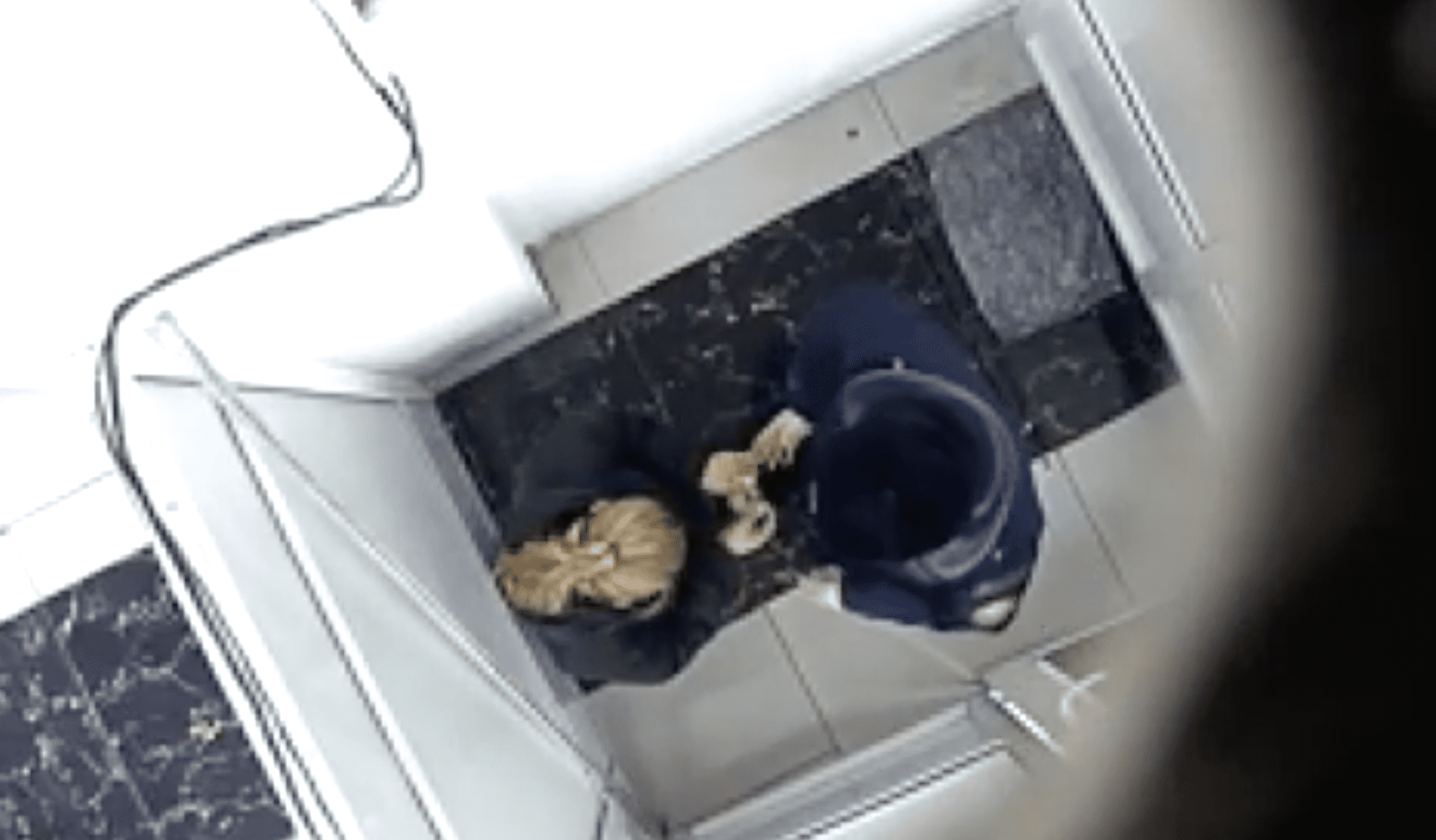 Таможенники аэропорта «Манас» систематически вымогали взятки с иностранцев (ВИДЕО) изображение публикации