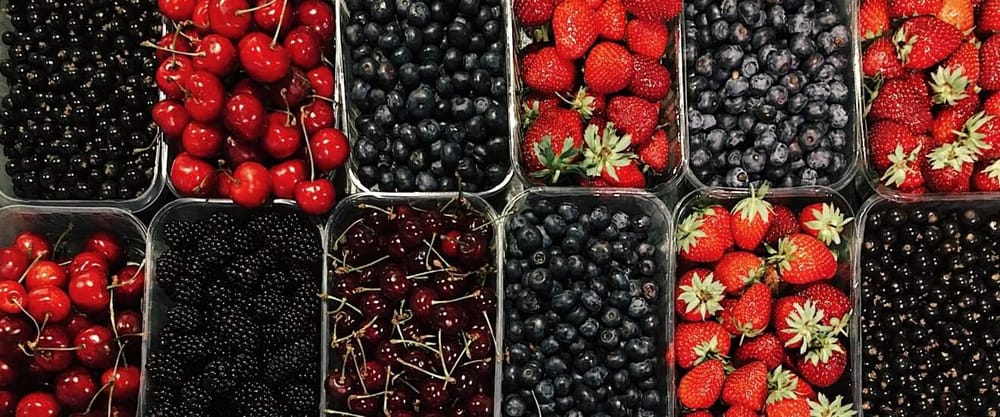 В Иссык-Кульской области будут выводить новые сорта ягод — размер инвестиций 38 млн сомов изображение публикации