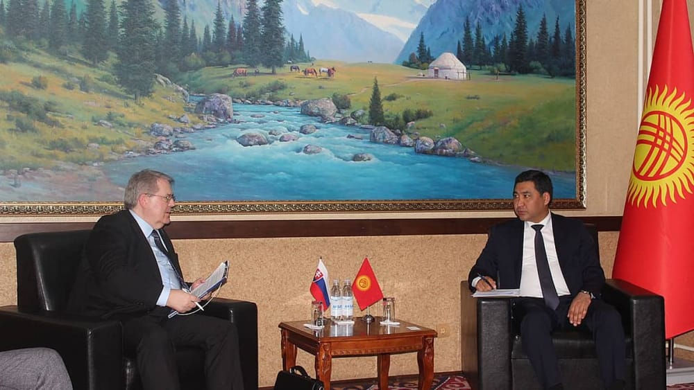 Кыргызстан и Словакия обсудили возможность проведения совместного бизнес-форума изображение публикации