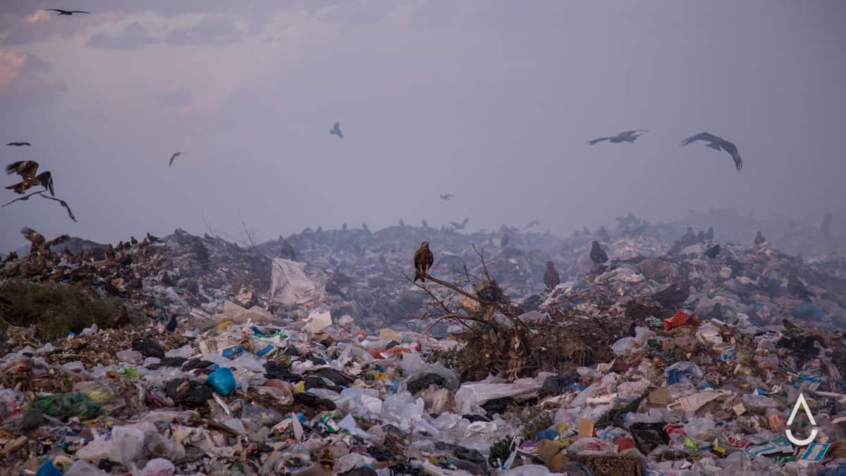 Из €22 млн, выделенных ЕБРР на мусорный полигон, осталось всего €11 млн. Еще ничего не сделано изображение публикации