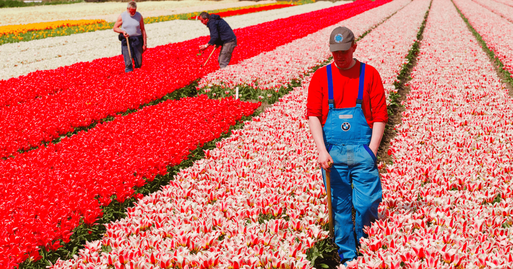 С послом Нидерландов обсудили вопрос трудоустройства кыргызстанцев по примеру Великобритании изображение публикации