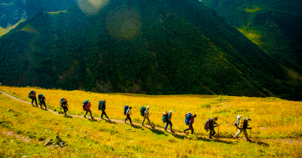 Государство и эксперты намерены совместными усилиями «озеленить» туризм изображение публикации