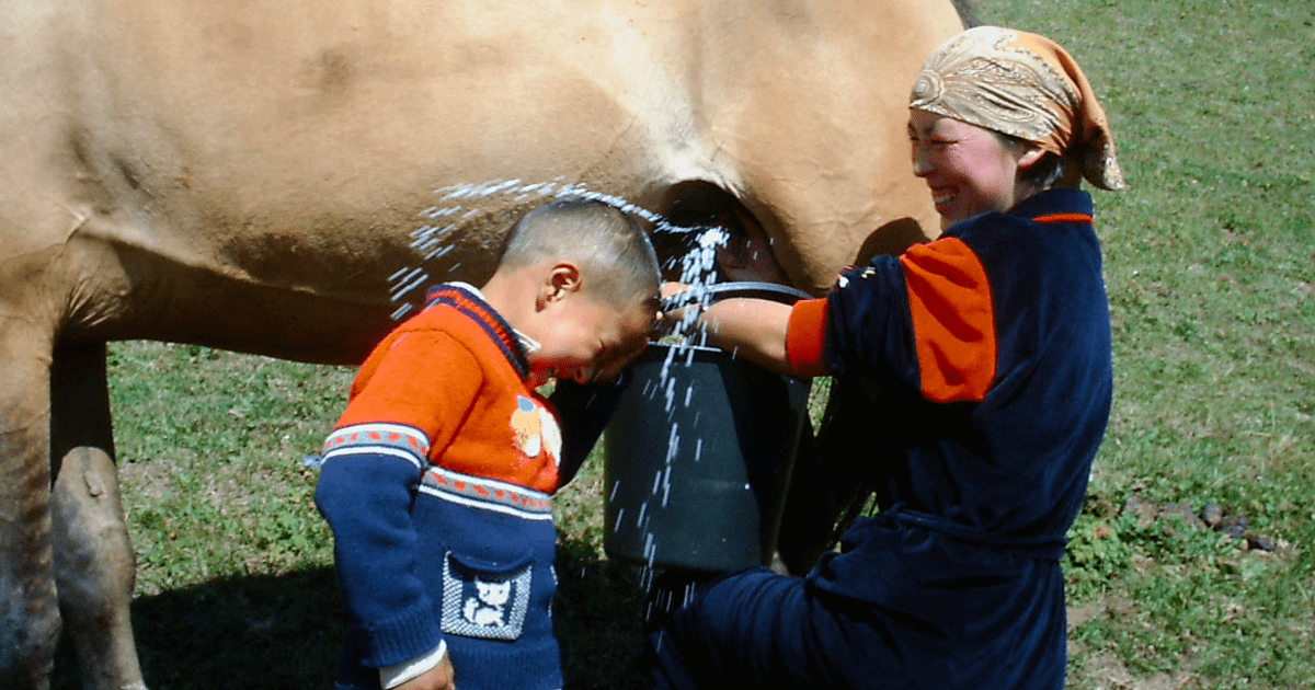Семьи, получившие гранты на бизнес вместо пособий, показали хорошие результаты — Базарбаев изображение публикации