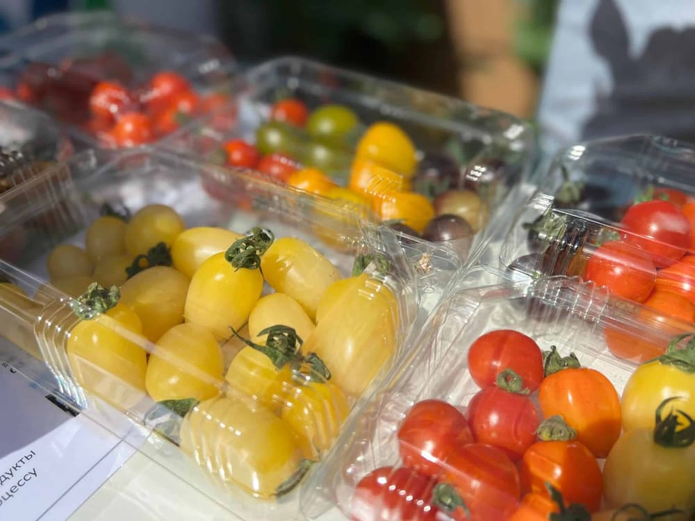 В октябре организации ООН проведут три сельхозярмарки в Бишкеке изображение публикации