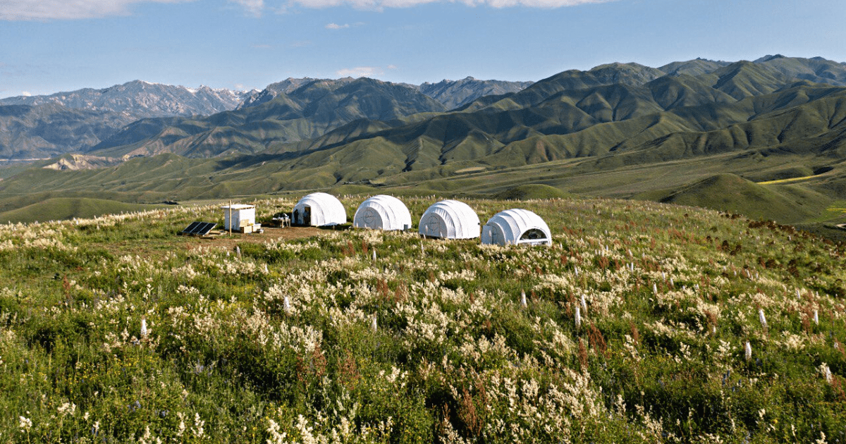Венгерская компания открыла глэмпинг-лагерь в Джалал-Абадской области изображение публикации