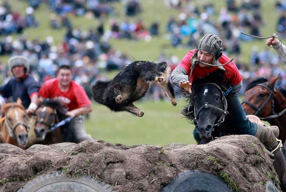 Садыр Жапаров обсудил организацию Всемирных игр кочевников с представителями из Турции изображение публикации