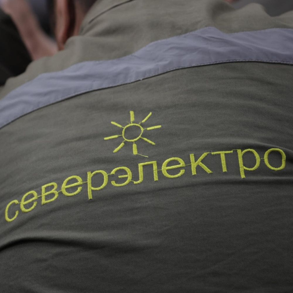 Энергетикам поручили обеспечить бесперебойную подачу электроэнергии во время холодов изображение публикации