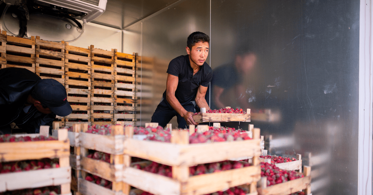 По 100 тысяч сомов на открытие бизнеса получат 2.8 тысячи малообеспеченных семей изображение публикации