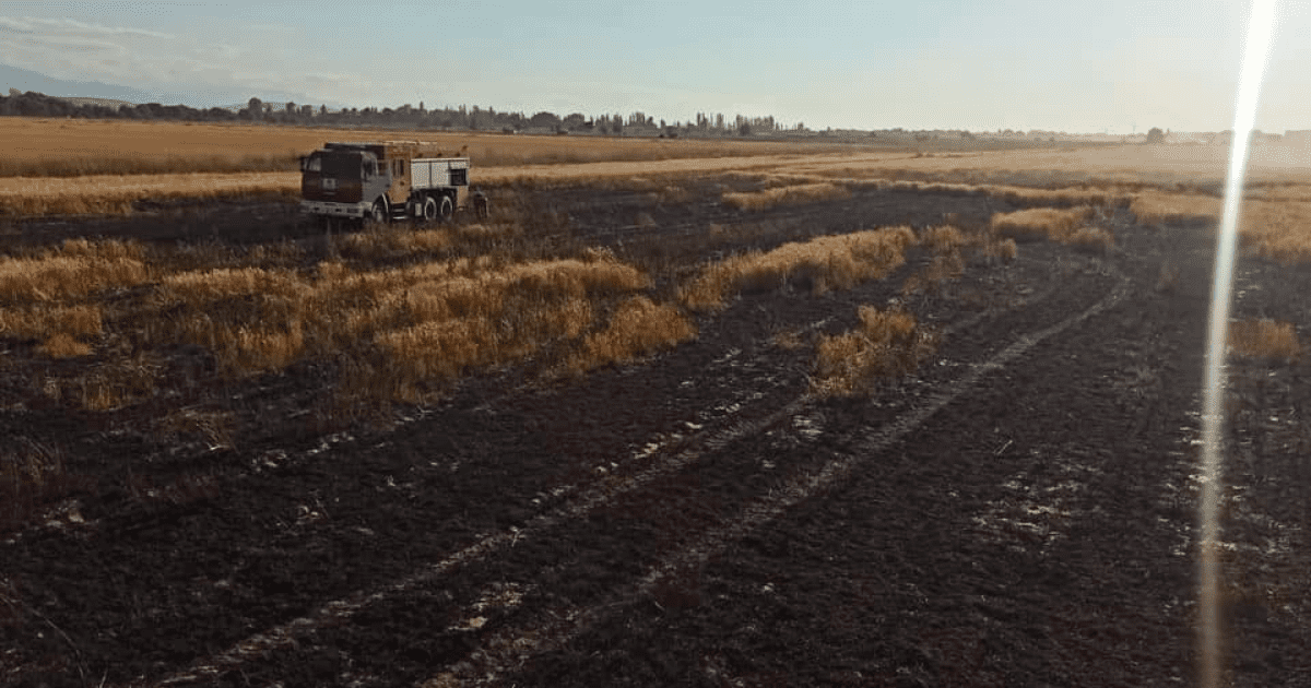 В Новопокровке сгорело 10 га посевов компании «ЭлДан Аталык» изображение публикации