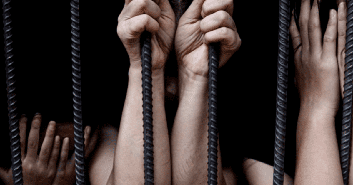 Как не стать жертвой торговли людьми при трудоустройстве за границей, рассказали эксперты ОБСЕ изображение публикации