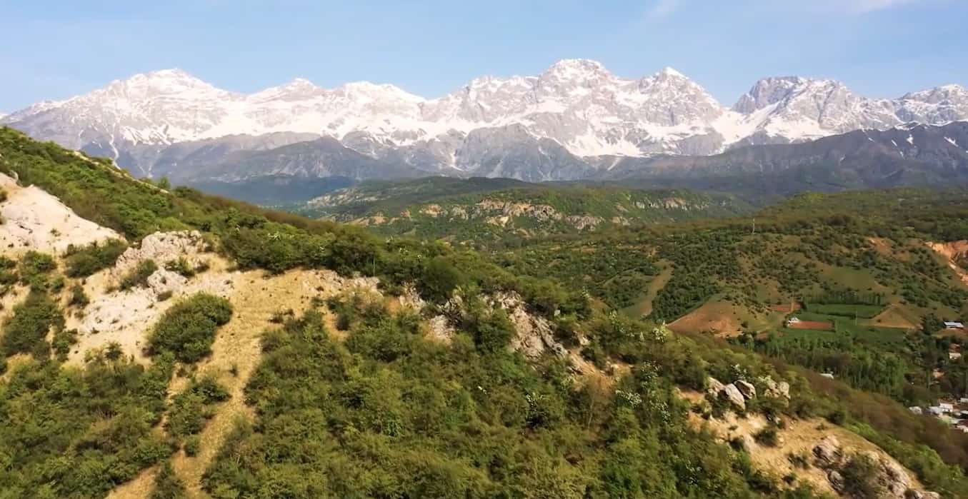 В Арстанбапе открыли новое овощехранилище на 600 тонн и передали оборудование ремесленникам изображение публикации