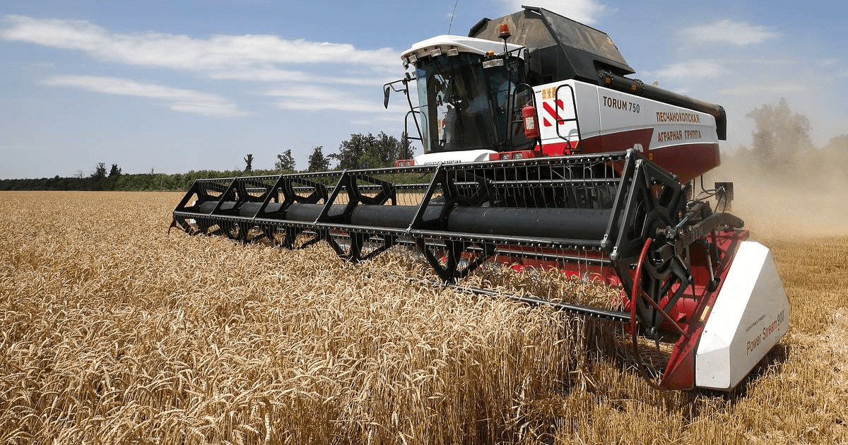 В Оше пройдет сельскохозяйственный бизнес-форум с участием импортеров из Узбекистана изображение публикации