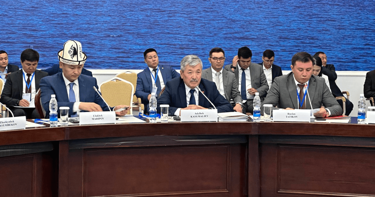 Кабмин надеется на поддержку арабских фондов в важных проектах — Касымалиев изображение публикации