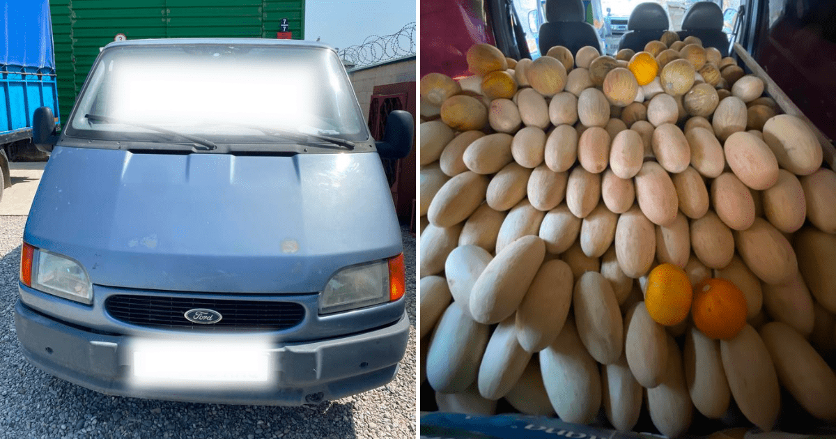 У кыргызстанца, попавшегося на контрабанде дыни, конфисковали машину изображение публикации