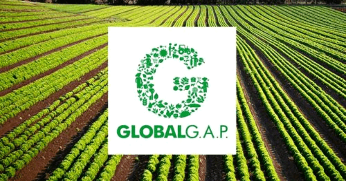 Замминистра сельского хозяйства не знает о GLOBALG.A.P. — депутат возмущен изображение публикации