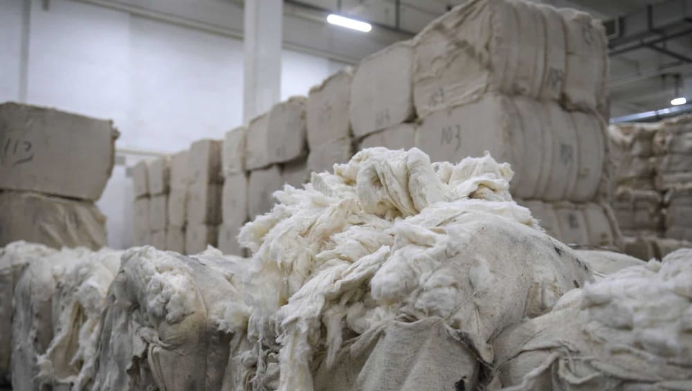 Кабмин обещает увеличить кредитование предприятий по переработке хлопка изображение публикации