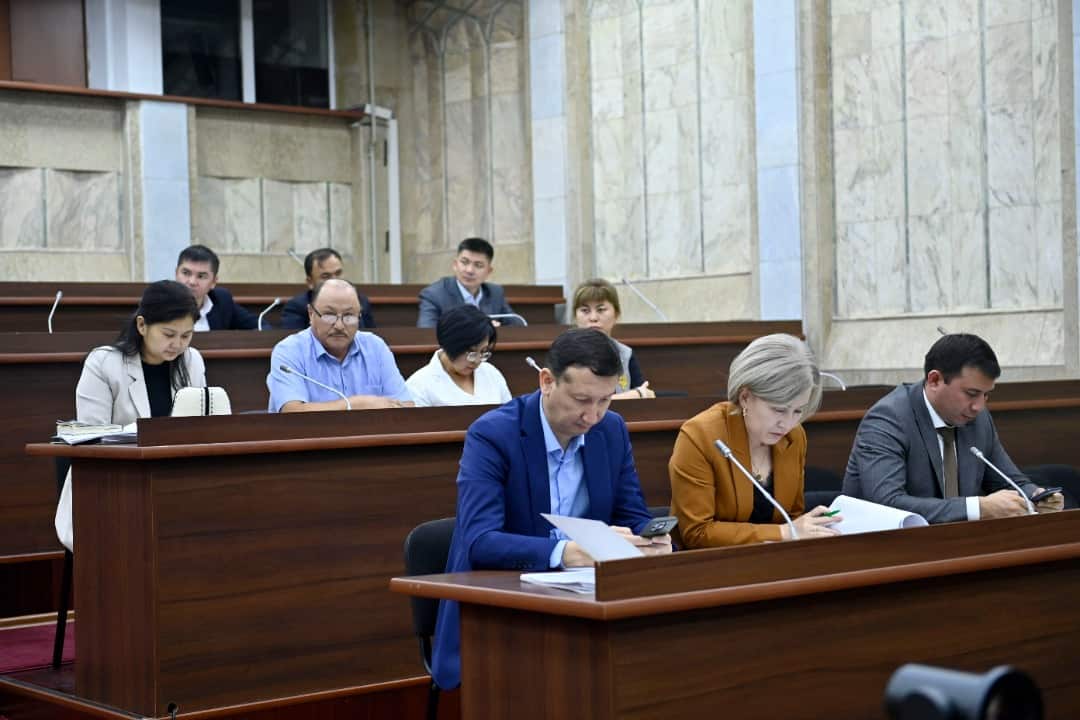 Средний размер пенсий в Кыргызстане вырос на 455 сомов изображение публикации