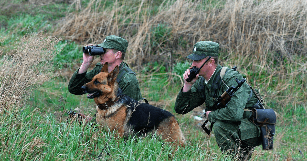 Два здания в Бишкеке продадут российским пограничникам — стоимость объектов неизвестна изображение публикации