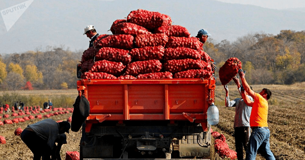 Нацстатком измерил урожай 2022 — он больше прошлогоднего почти в полтора раза изображение публикации
