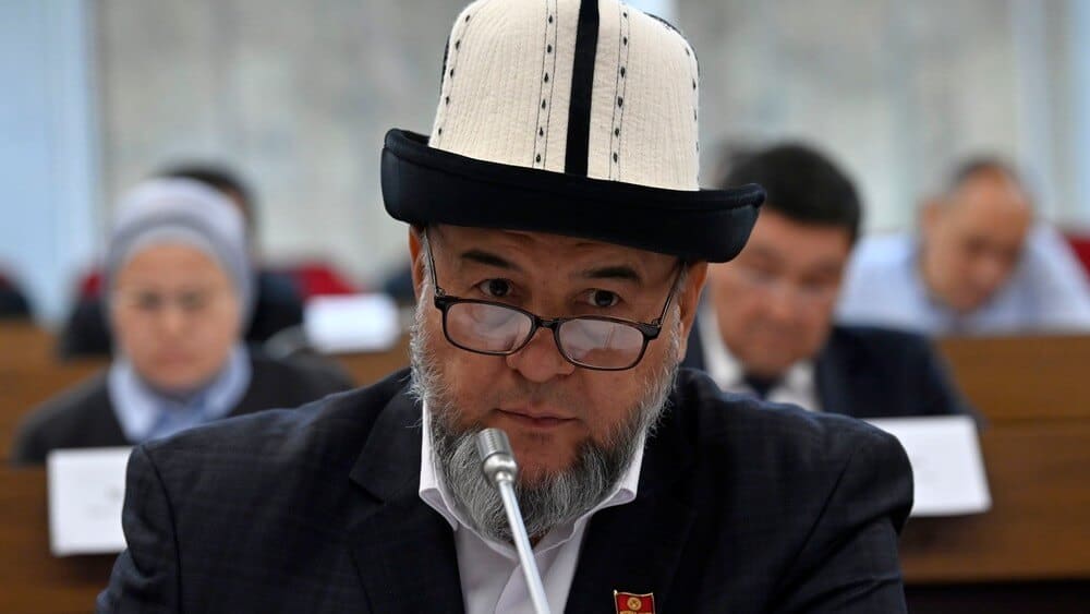 В парламенте вновь предлагают средства мигрантов направить на инвестирование изображение публикации