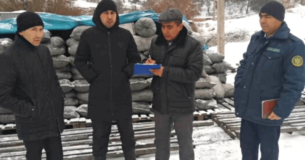 В Нарыне и Баткене провели мониторинг цен на уголь изображение публикации