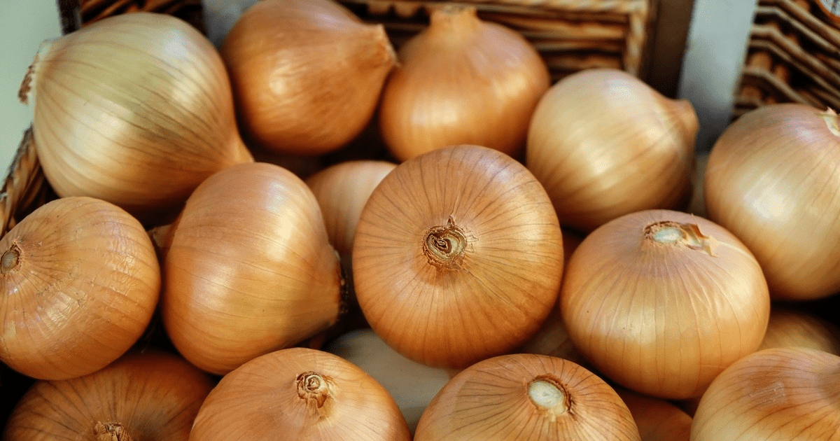 Кыргызстан с февраля запретит экспорт лука и чеснока изображение публикации