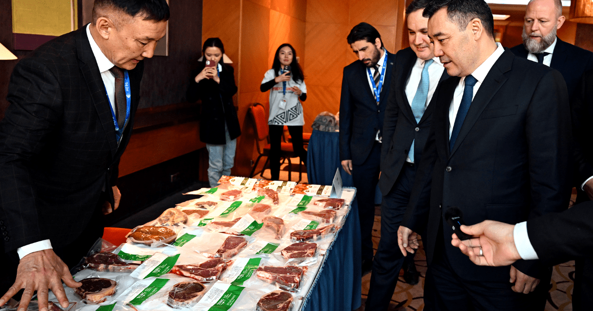 Садыр Жапаров предложил открыть Торговый дом Кыргызстана в Венгрии изображение публикации