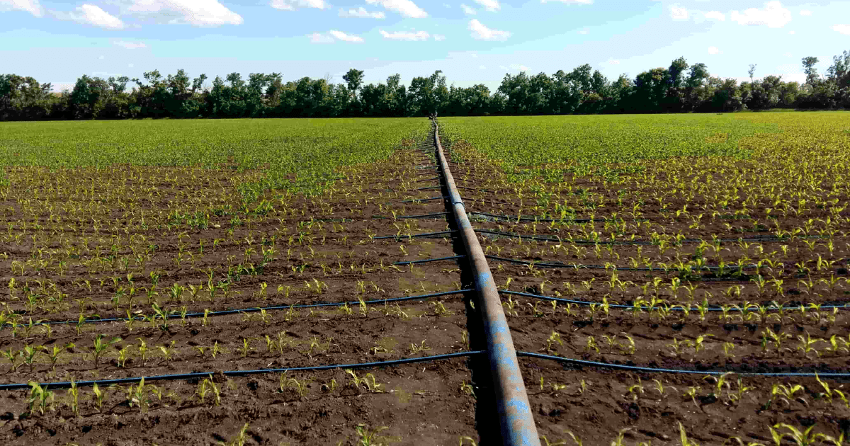 Государство выделит 2.5 млрд сома на полив безводных земель изображение публикации