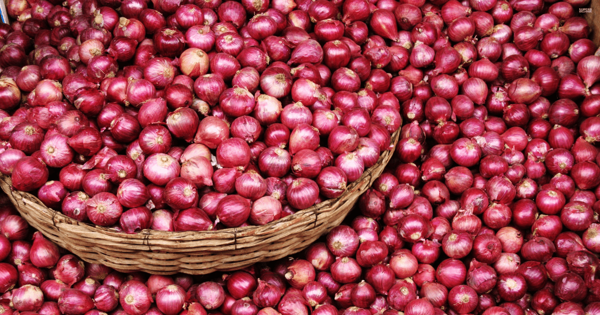 Запрет на экспорт лука из Кыргызстана отменен изображение публикации