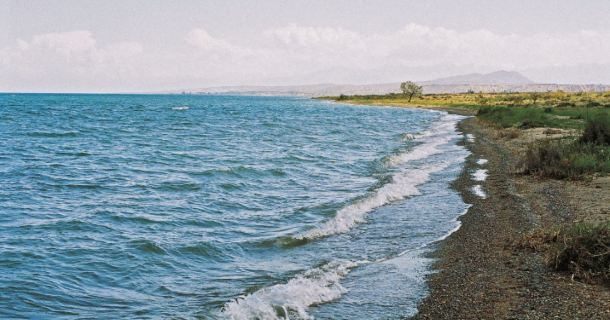 В озеро Иссык-Куль с начала года выпустили 6.4 млн молоди рыб  изображение публикации