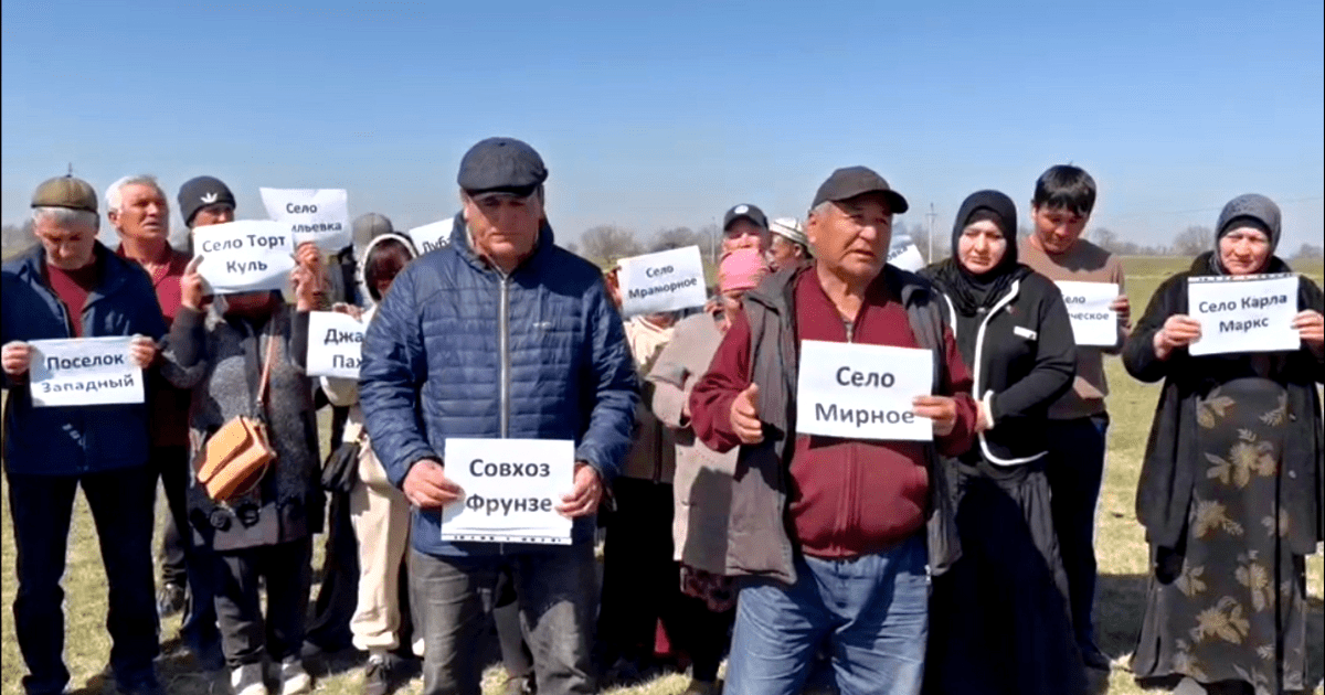 Принимают молоко за бесценок — фермеры Чуйской области обратились с жалобой к президенту изображение публикации
