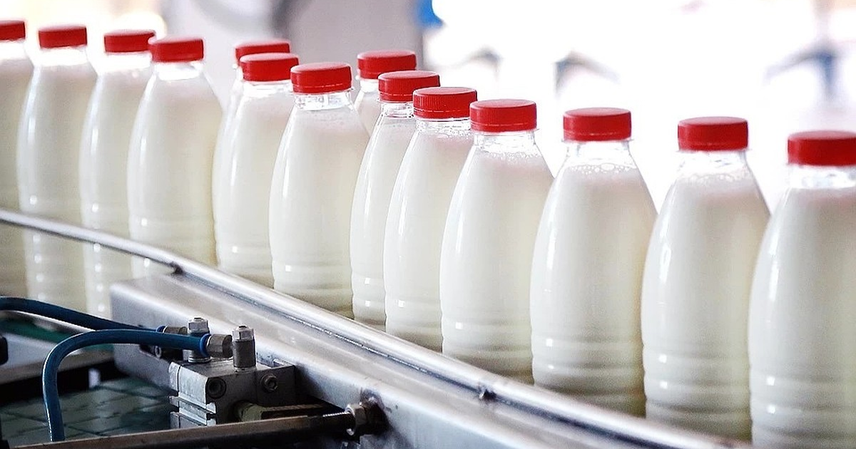 Депутат ЖК предложил ввести в Кыргызстане госрегулирование закупочных цен на молоко изображение публикации