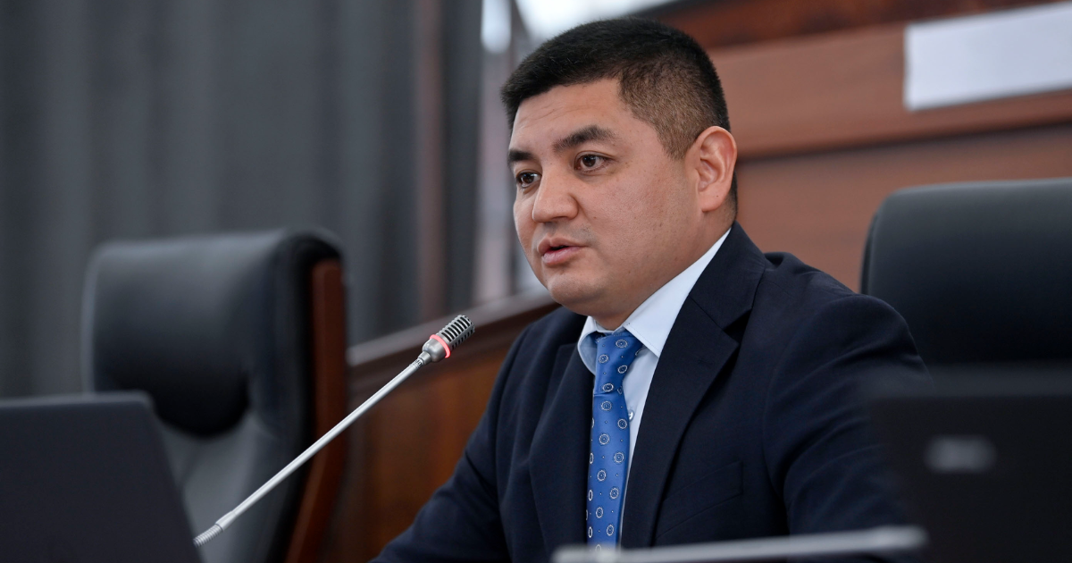 ЖК одобрил ужесточение режима пребывания иностранцев в КР, а кабмину упростил введение безвизовых отношений изображение публикации