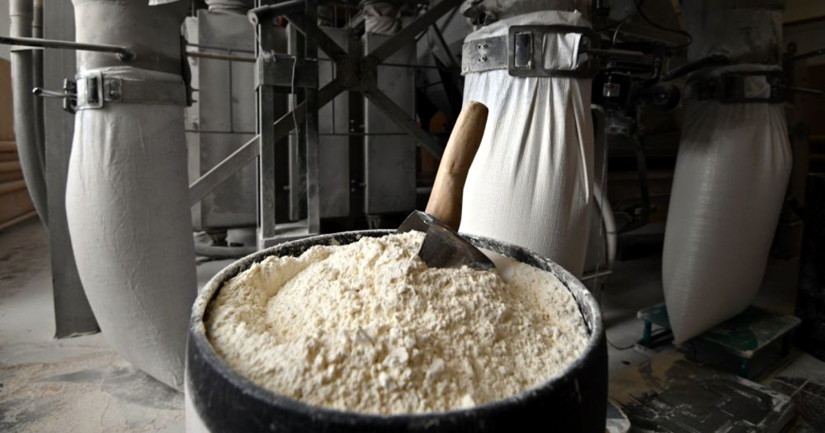 Мукомольный комбинат «Дан» планирует приобрести оборудование на $2.3 млн изображение публикации