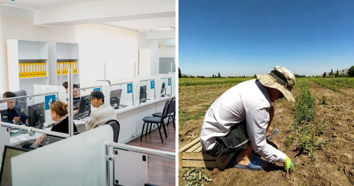 В Кыргызстане предлагают создать Центр обслуживания фермеров изображение публикации