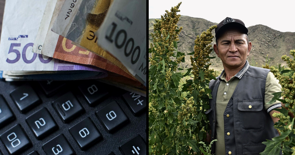 Сельхозпроизводители могут разориться из-за налогооблажения — Ассоциация АПК об угрозах экономике изображение публикации