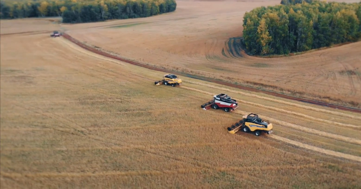 «Новосибирскхлебопродукт» откроет центральноазиатский офис в Бишкеке изображение публикации