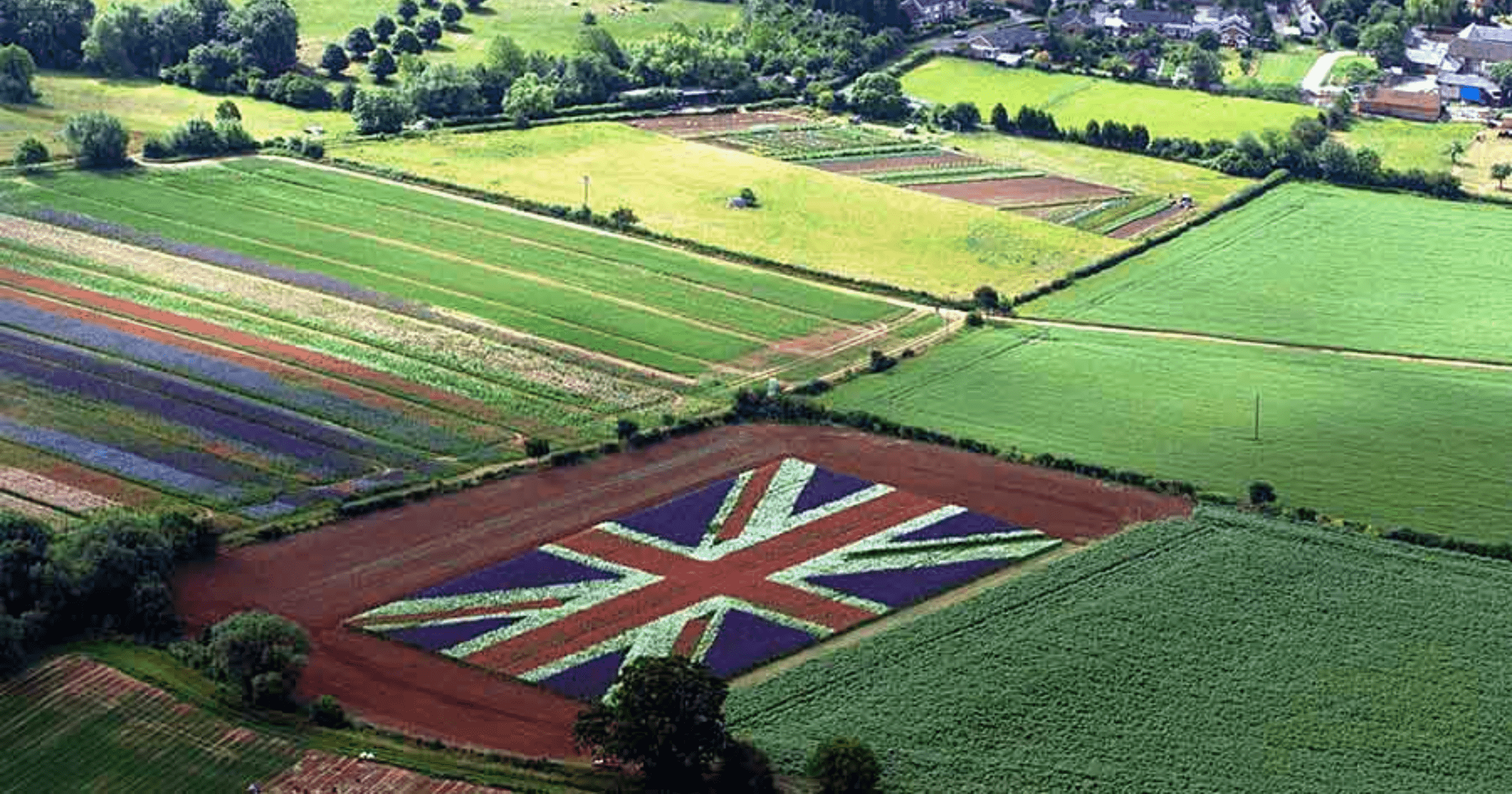Самые сельскохозяйственные страны. Сельскоетхозяйство Великобритании. Сельское хозяйство Британии. Сельское хозяйство Великобритания география. Сельское хоз Великобритании.