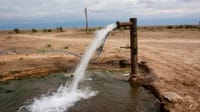 Жители Араванского района просят построить скважины, чтобы решить проблему с поливной водой изображение публикации