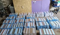 Налоговики выявили незаконную перевозку 3.5 тысячи пачек сигарет в Узгенском районе изображение публикации